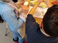 Kinderkoken Bockxmeerschool
