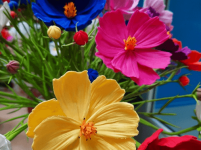 Kleibloem maken klaproos Zomerschool