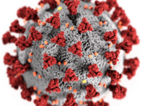 Nieuws in verband met het Corona virus
